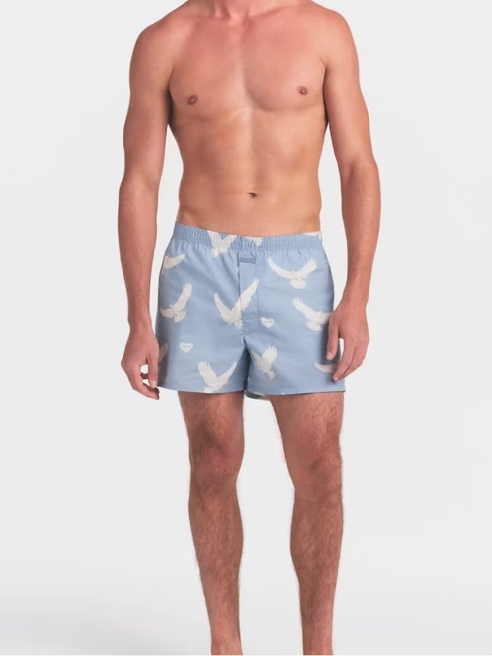 SKIMS Cotton Poplin Mens Boxer